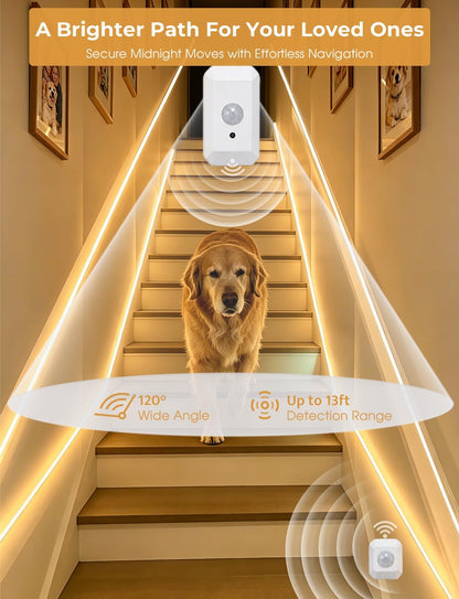 Motion Sensor Under Bed Light, Dual Sensor LED Strip 19.6ft, App Control