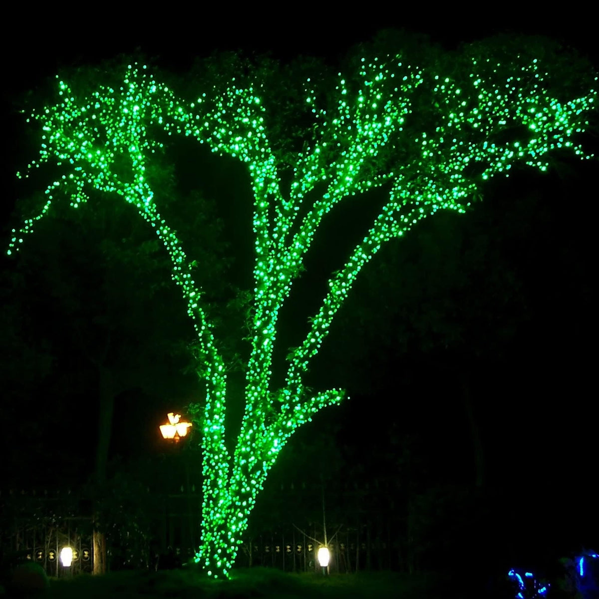 Multicolor Christmas String Lights 164ft, 2000 LED, 8 Modes, Waterproof