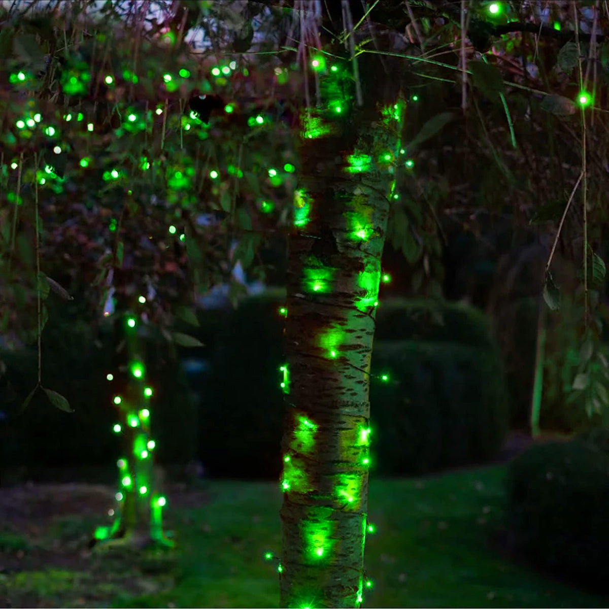 Multicolor Christmas String Lights 164ft, 2000 LED, 8 Modes, Waterproof