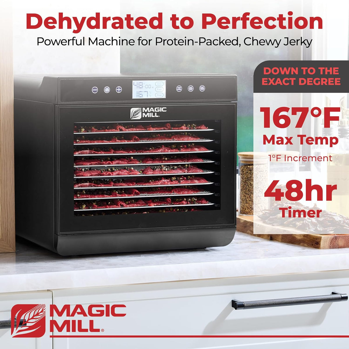Food Dehydrator with 10 Stainless Steel Trays, 700W, Digital Timer