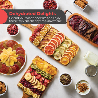 Food Dehydrator with 10 Stainless Steel Trays, 700W, Digital Timer