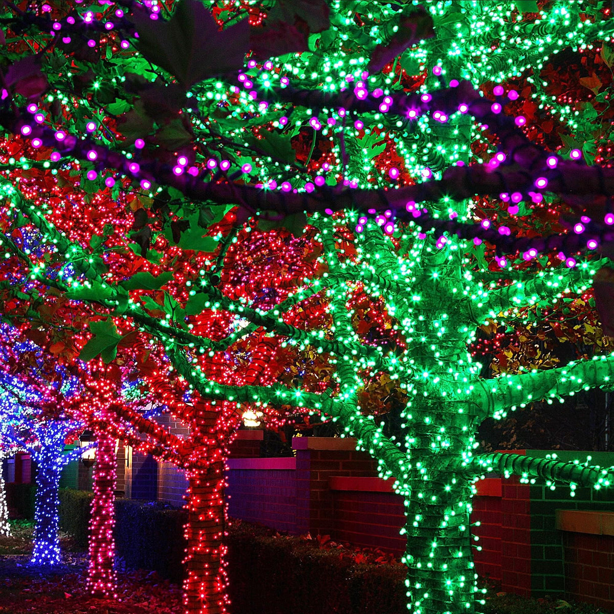 Multicolor Christmas String Lights 164ft, 2000 LED, 8 Modes, Waterproof